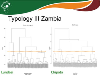 Typologies for farming systems analysis in Africa RISING