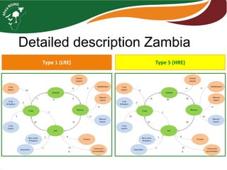 Farming systems analysis in Africa RISING