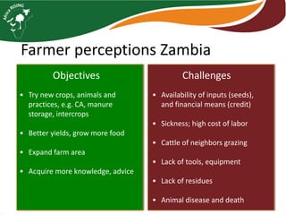 Farming systems analysis in Africa RISING