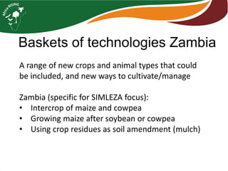 Farming systems analysis in Africa RISING