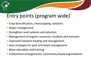Farming systems analysis in Africa RISING