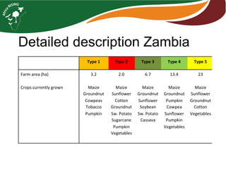 Farming systems analysis in Africa RISING
