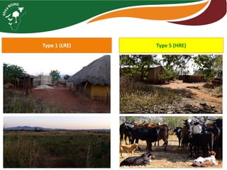 Farming systems analysis in Africa RISING