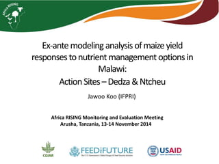Ex-ante modeling analysis of maize yield 
responses to nutrient management options in 
Malawi: 
Action Sites –Dedza & Ntcheu 
Jawoo Koo (IFPRI) 
Africa RISING Monitoring and Evaluation Meeting 
Arusha, Tanzania, 13-14 November 2014 
 
