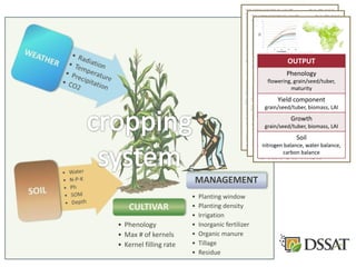 Ex-ante modeling analysis of maize yield responses to nutrient management options in Malawi: Action Sites – Dedza & Ntcheu