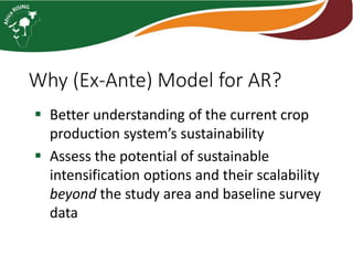 Ex-ante modeling analysis of maize yield responses to nutrient management options in Malawi: Action Sites – Dedza & Ntcheu