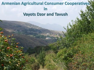 Armenian Agricultural Consumer Cooperatives
                     in
          Vayots Dzor and Tavush
 