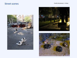 Street scenes Credit (all photos): J. Urban
 