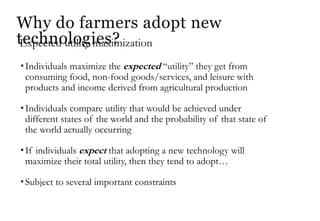 Improving evidence on the impact of agricultural research and extension: Reflections on CSISA’s experience