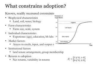 Improving evidence on the impact of agricultural research and extension: Reflections on CSISA’s experience