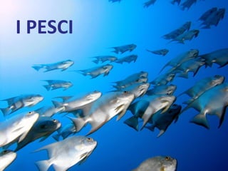 I PESCI
 