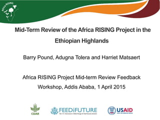 Mid-Term Review of the Africa RISING Project in the
Ethiopian Highlands
Barry Pound, Adugna Tolera and Harriet Matsaert
Africa RISING Project Mid-term Review Feedback
Workshop, Addis Ababa, 1 April 2015
 