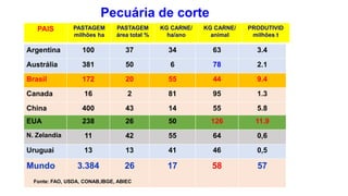 Pecuária de corte
Argentina 100 37 34 63 3.4
Austrália 381 50 6 78 2.1
Brasil 172 20 55 44 9.4
Canada 16 2 81 95 1.3
China...