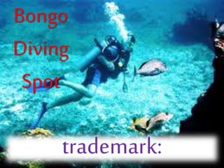 Bongo
Diving
Spot
trademark:
 