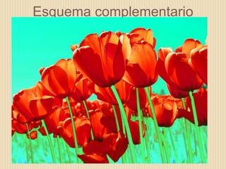Esquema complementario