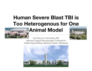 Human Severe Blast TBI is
Too Heterogenous for One
     Animal Model
             Col Rocco A. Armonda, MD
     National Capital Neurosurgery Consortium
    Walter Reed Military Medical Center, Bethesda
 