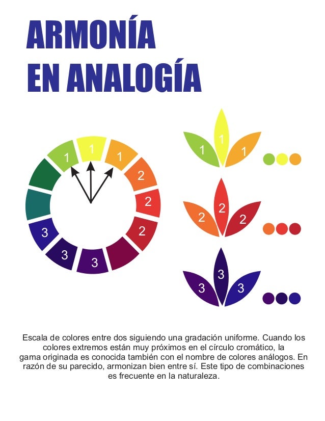 armonia de colores 1 8 638