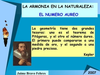 LA ARMONIA EN LA NATURALEZA :  EL NUMERO AUREO   Jaime Bravo Febres 2007 La geometría tiene dos grandes tesoros: uno es el teorema de Pitágoras, y el otro el número áureo. El primero puede compararse a una medida de oro, y el segundo a una piedra preciosa.  Kepler 
