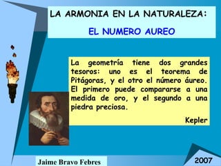 LA ARMONIA EN LA NATURALEZA:

              EL NUMERO AUREO


         La geometría tiene dos grandes
         tesoros: uno es el teorema de
         Pitágoras, y el otro el número áureo.
         El primero puede compararse a una
         medida de oro, y el segundo a una
         piedra preciosa.
                                       Kepler




Jaime Bravo Febres                        2007
 