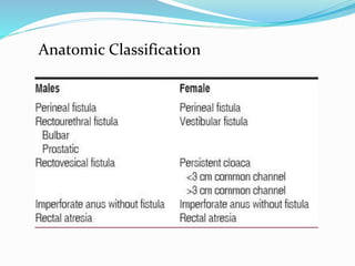 Anatomic Classification
 
