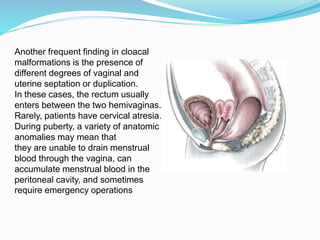 Another frequent finding in cloacal
malformations is the presence of
different degrees of vaginal and
uterine septation or duplication.
In these cases, the rectum usually
enters between the two hemivaginas.
Rarely, patients have cervical atresia.
During puberty, a variety of anatomic
anomalies may mean that
they are unable to drain menstrual
blood through the vagina, can
accumulate menstrual blood in the
peritoneal cavity, and sometimes
require emergency operations
 
