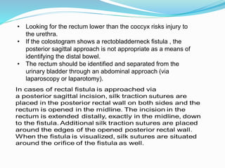 • Looking for the rectum lower than the coccyx risks injury to
the urethra.
• If the colostogram shows a rectobladderneck fistula , the
posterior sagittal approach is not appropriate as a means of
identifying the distal bowel.
• The rectum should be identified and separated from the
urinary bladder through an abdominal approach (via
laparoscopy or laparotomy).
 