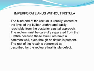 IMPERFORATE ANUS WITHOUT FISTULA
The blind end of the rectum is usually located at
the level of the bulbar urethra and easily
reachable from the posterior sagittal approach.
The rectum must be carefully separated from the
urethra because these structures have a
common wall, even though no fistula is present.
The rest of the repair is performed as
described for the rectourethral fistula defect.
 