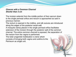Cloacas with a Common Channel
Shorter than 3 cm
The incision extends from the middle portion of then sacrum down
to the single perineal orifice and rectum is approached as said in
previous manner.
The rectum is opened in the midline, and silk sutures are introduced
along the edges of the posterior rectal wall.
A mosquito clamp placed in the single perineal orifice facilitates
extension of the incision through the posterior wall of the common
channel. The entire common channel is exposed, the separation of
the rectum from the vagina is performed.
The total urogenital mobilization is done which
consists of bringing both vagina and urethra to the
Perineum as single unit.
 