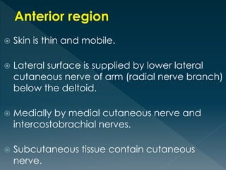  Skin is thin and mobile.
 Lateral surface is supplied by lower lateral
cutaneous nerve of arm (radial nerve branch)
below the deltoid.
 Medially by medial cutaneous nerve and
intercostobrachial nerves.
 Subcutaneous tissue contain cutaneous
nerve.
 