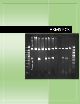 ARMS PCR
 