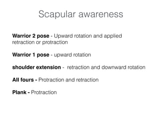 Scapular awareness
Warrior 2 pose - Upward rotation and applied
retraction or protraction
Warrior 1 pose - upward rotation
shoulder extension - retraction and downward rotation
All fours - Protraction and retraction!
Plank - Protraction
 