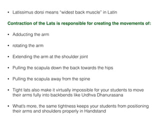 • Latissimus dorsi means “widest back muscle” in Latin
Contraction of the Lats is responsible for creating the movements of:!
• Adducting the arm
• rotating the arm
• Extending the arm at the shoulder joint
• Pulling the scapula down the back towards the hips
• Pulling the scapula away from the spine
• Tight lats also make it virtually impossible for your students to move
their arms fully into backbends like Urdhva Dhanurasana
• What’s more, the same tightness keeps your students from positioning
their arms and shoulders properly in Handstand
 