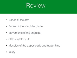 Review
• Bones of the arm
• Bones of the shoulder girdle
• Movements of the shoulder
• SITS - rotator cuff
• Muscles of the upper body and upper limb
• Injury
 