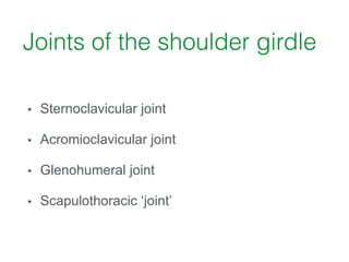 Joints of the shoulder girdle
• Sternoclavicular joint
!
• Acromioclavicular joint
!
• Glenohumeral joint
!
• Scapulothoracic ‘joint’
 