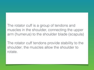 The rotator cuff is a group of tendons and
muscles in the shoulder, connecting the upper
arm (humerus) to the shoulder blade (scapula)
!
The rotator cuff tendons provide stability to the
shoulder; the muscles allow the shoulder to
rotate.
 