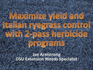 Maximize yield and Italian ryegrass control with 2-pass herbicide programs Joe ArmstrongOSU Extension Weeds Specialist 