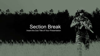 Section Break
Insert the Sub Title of Your Presentation
 