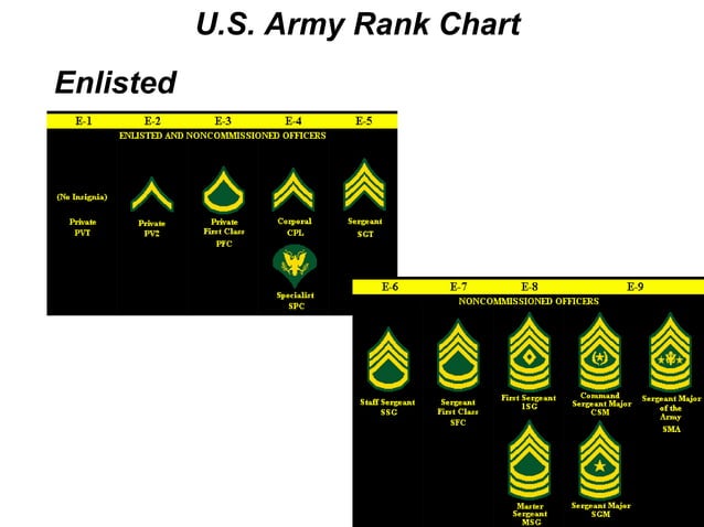 Army Units 'n Ranks | PPT | Women\'s Outerwear | Women\'s Clothing