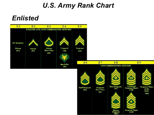 What are the ranks of the U.S. Army?