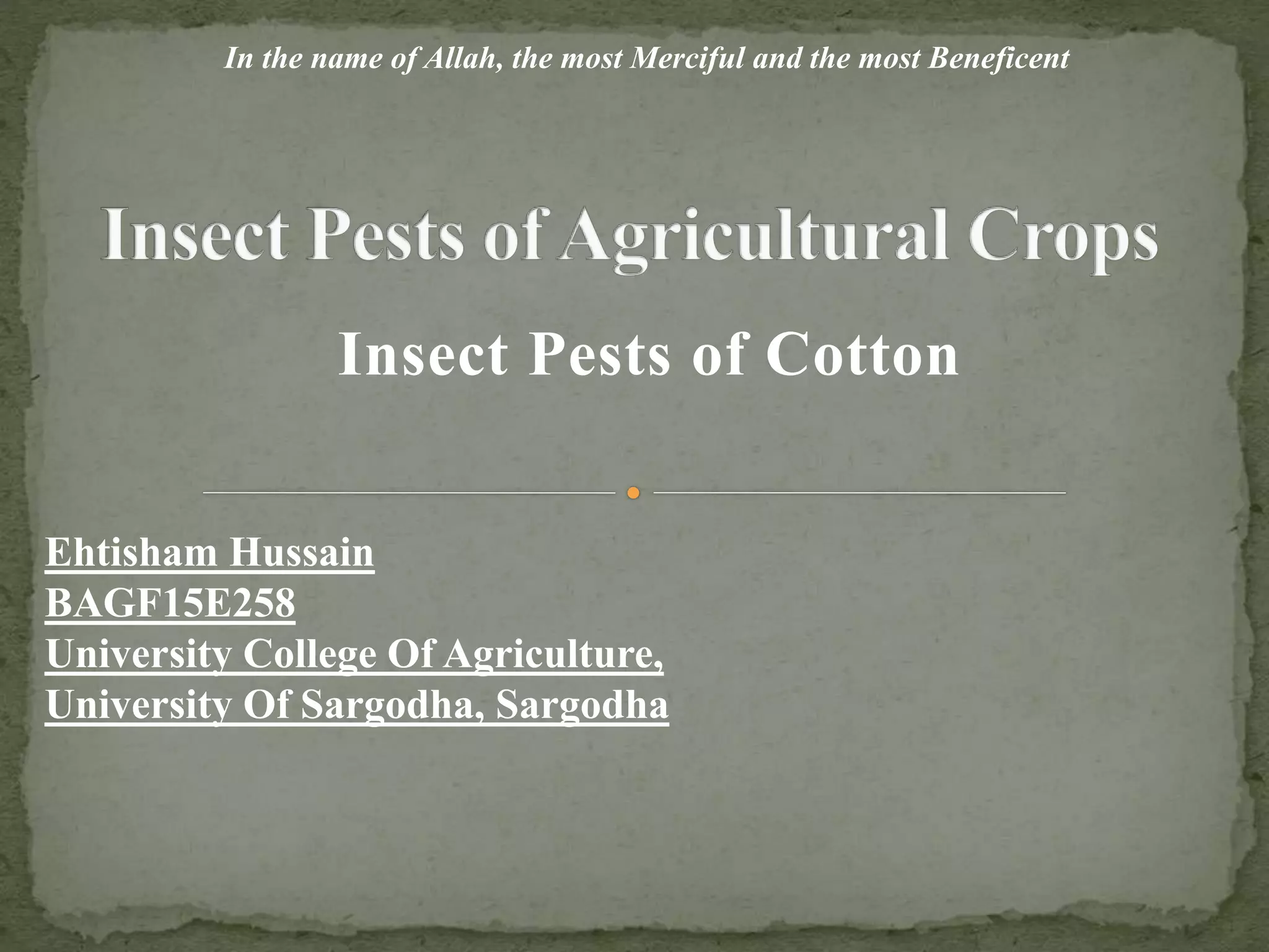 Insect Pests of Cotton
Ehtisham Hussain
BAGF15E258
University College Of Agriculture,
University Of Sargodha, Sargodha
In the name of Allah, the most Merciful and the most Beneficent
