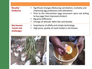 LIVES poultry value chain development interventions: Approaches and scalable interventions