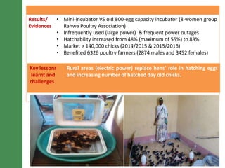 LIVES poultry value chain development interventions: Approaches and scalable interventions