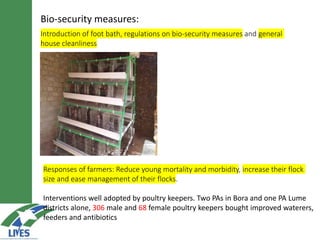 LIVES poultry value chain development interventions: Approaches and scalable interventions