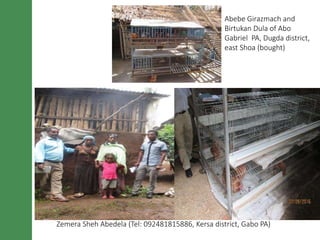 LIVES poultry value chain development interventions: Approaches and scalable interventions
