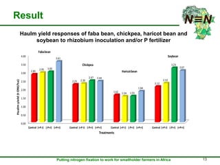 Inoculation and P fertilizer improves food and feed production in grain legumes: Farmers' perceptions and treatment effects on yield and quality of residue biomass in Ethiopian highlands