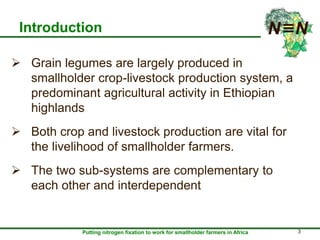 Inoculation and P fertilizer improves food and feed production in grain legumes: Farmers' perceptions and treatment effects on yield and quality of residue biomass in Ethiopian highlands