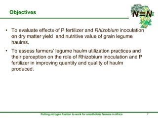 Inoculation and P fertilizer improves food and feed production in grain legumes: Farmers' perceptions and treatment effects on yield and quality of residue biomass in Ethiopian highlands