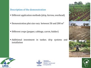 Solar powered water pumping can boost smallholder income: A business model based on action research from LIVES and Africa RISING sites