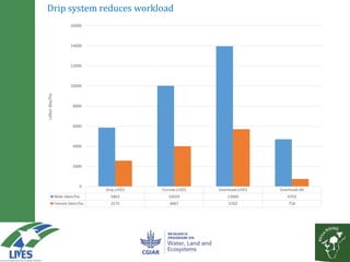 Solar powered water pumping can boost smallholder income: A business model based on action research from LIVES and Africa RISING sites