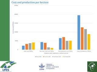 Solar powered water pumping can boost smallholder income: A business model based on action research from LIVES and Africa RISING sites